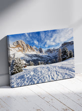 Planina u snegu 1
