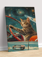 Mačka svemirski vozač