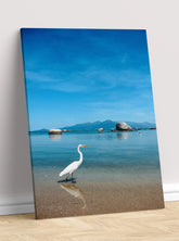 Bela ptica na plaži 1