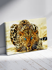 Leopard sa plavim očima