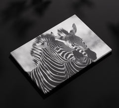 Zebre