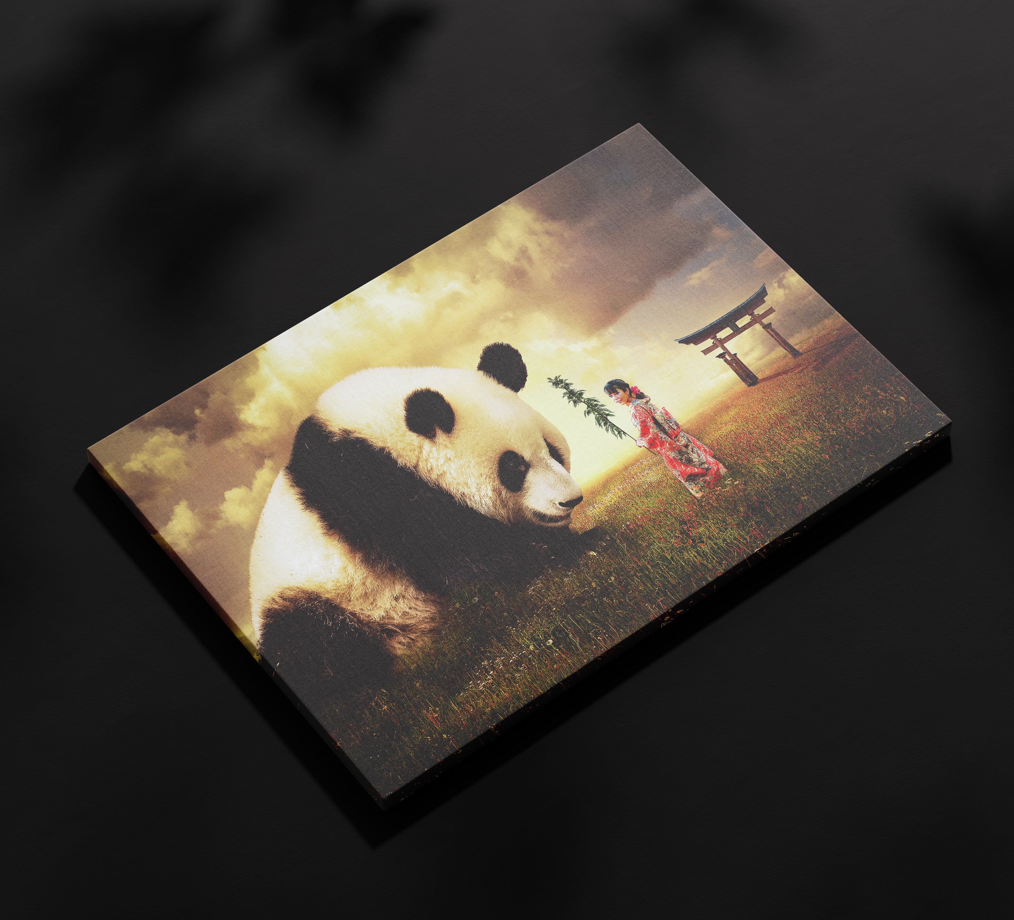 Panda i gejša