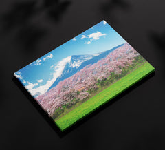 Japanske trešnje ispod planine 1