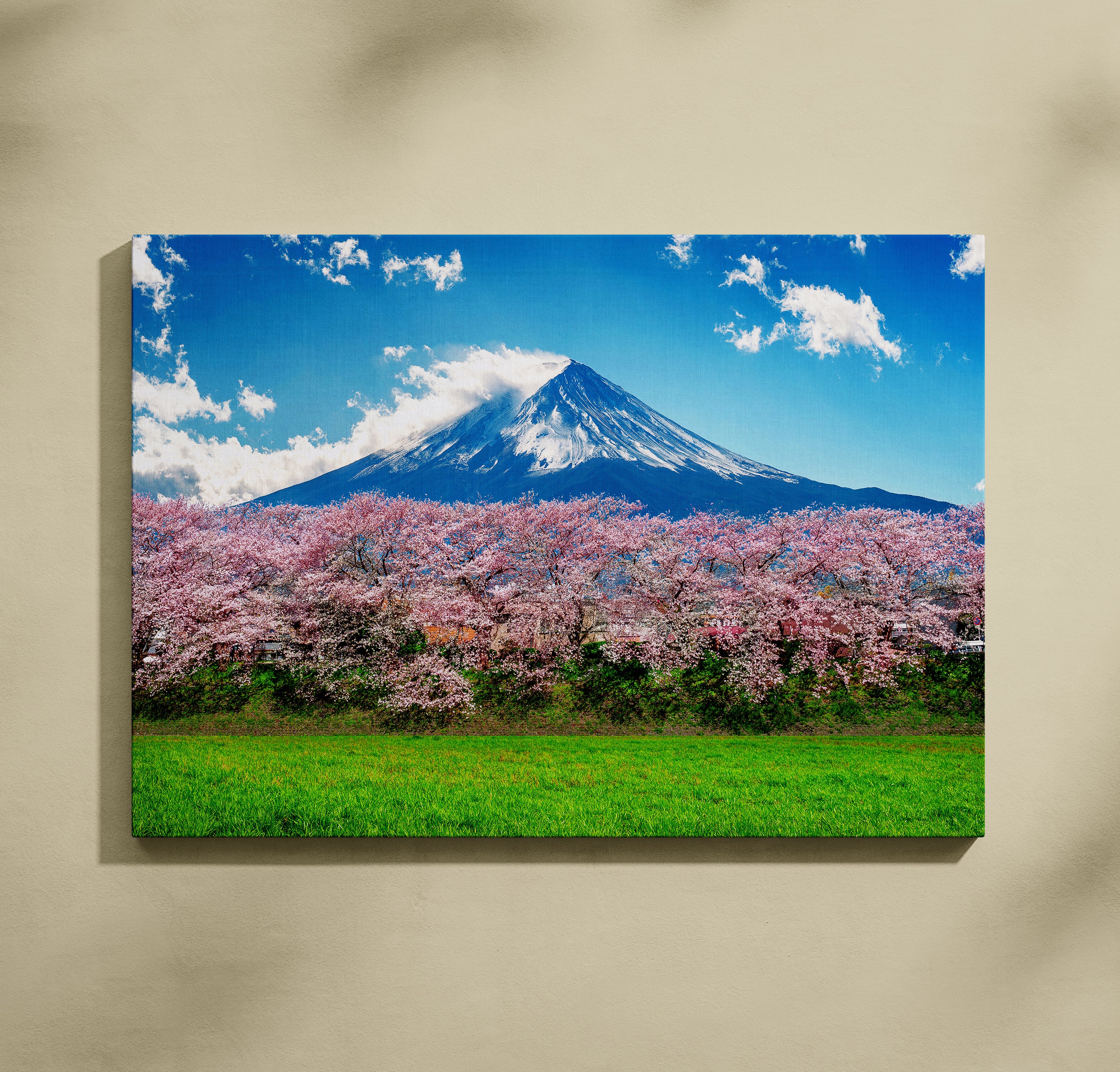 Japanske trešnje ispod planine 1