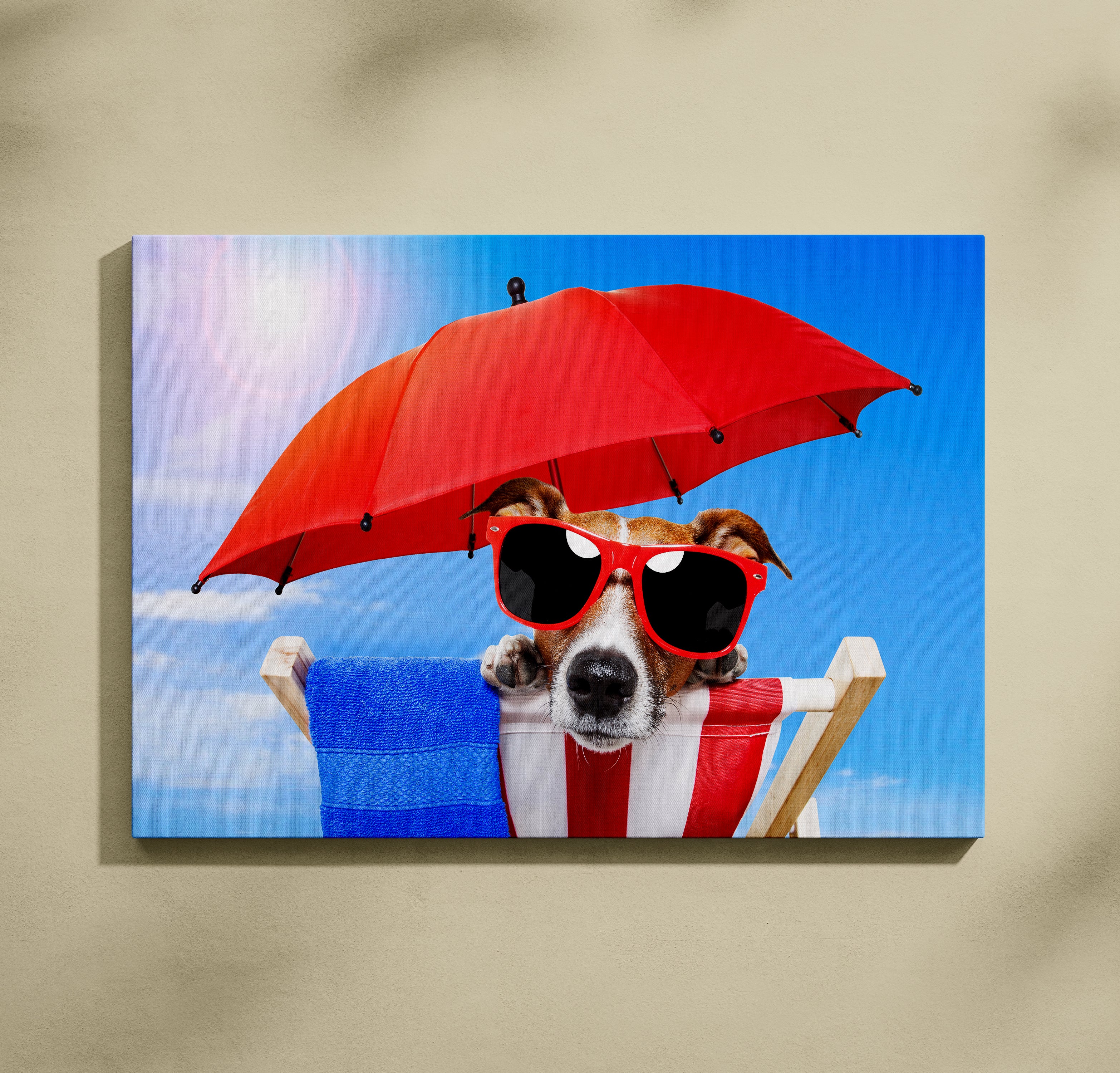 Pas Džek Rasel sa naočarama na plaži