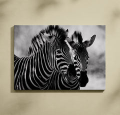 Zebre