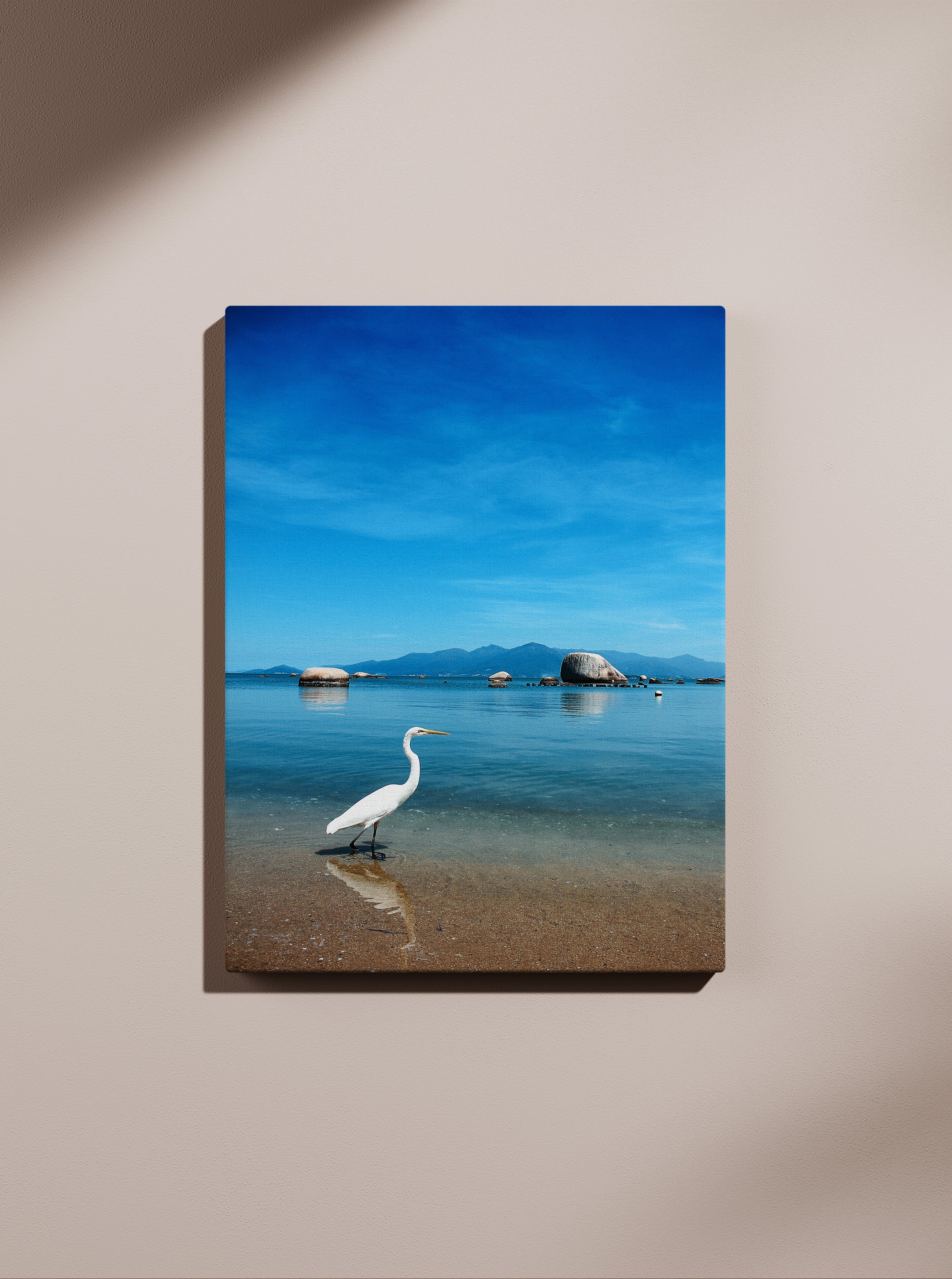 Bela ptica na plaži 1