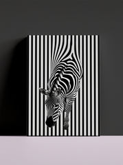 Zebra 1