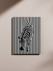Zebra 1